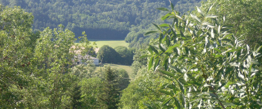 le jura